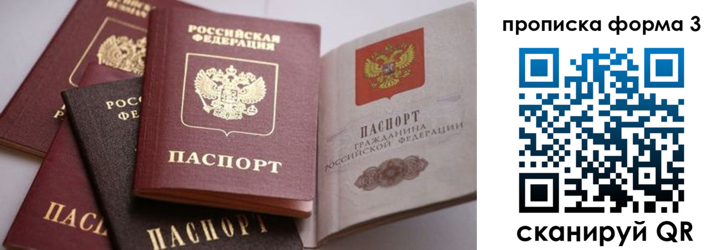 прописка для школы в Сургуте